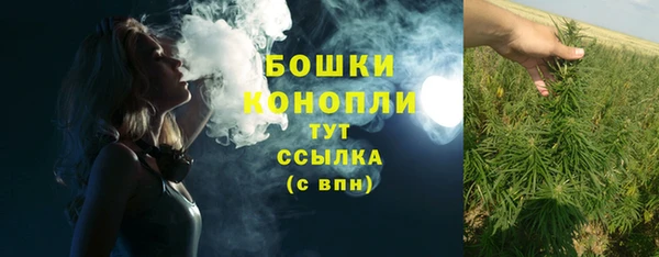 спайс Бородино