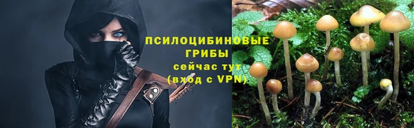 спайс Бородино