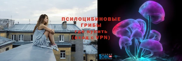 МДПВ Бронницы