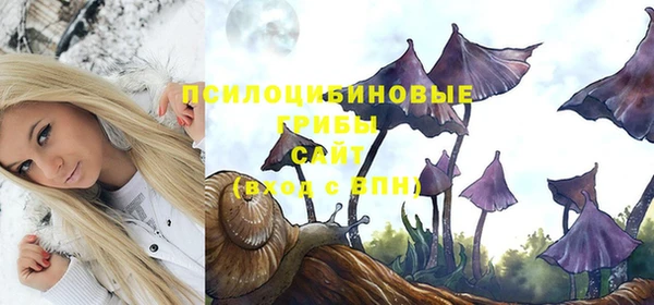 экстази Пересвет