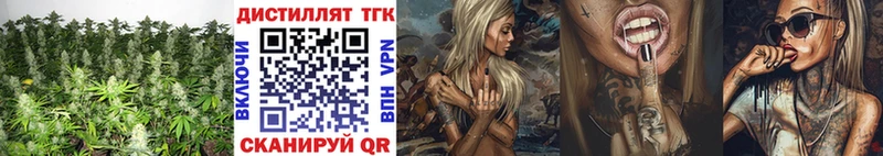 ТГК концентрат  где найти   Весьегонск 