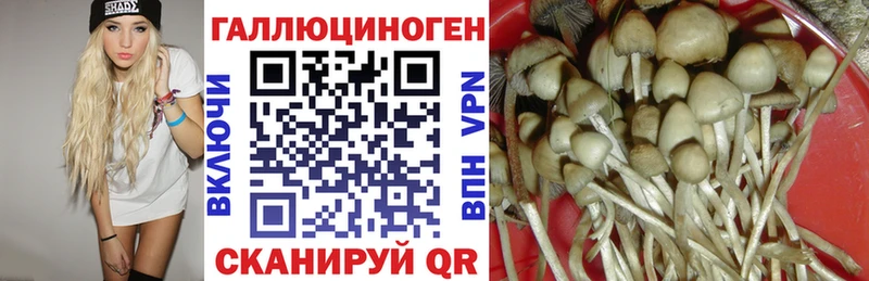 Псилоцибиновые грибы Psilocybine cubensis  mega сайт  Весьегонск  продажа наркотиков 